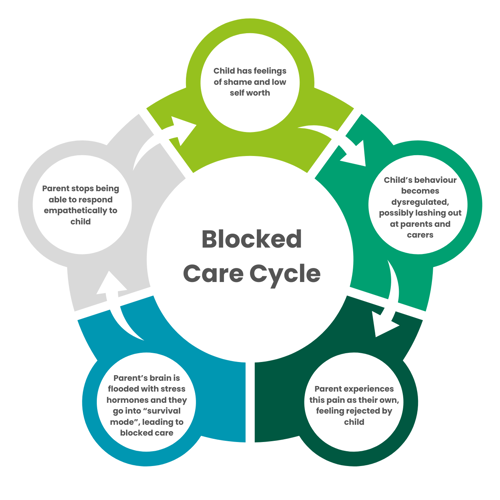 A diagram explaining the Blocked Care Cycle. Text reads: Blocked Care Cycle. Child has feelings of shame and low self worth. Child's behaviour becomes dysregulated, possibly lashing out at parents carers. Parent experiences this pain as their own, feeling rejected by child. Parents brain is flooded with stress hormones and they go into 'survival mode', leading to blocked care. Parent stops being able to respond empathetically towards child.